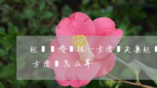 起訴離婚階段一方借錢(夫妻起訴離婚期間,一方借錢怎么算)