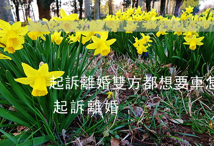 起訴離婚雙方都想要車怎么辦(男方怎么才能起訴離婚)