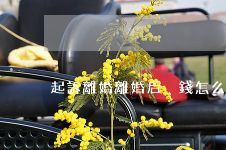 起訴離婚離婚后沒錢怎么辦