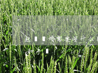 起訴離婚需要些什么資料(起訴離婚所需材料和手續(xù))