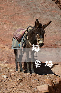 起訴離婚需要什么手續(xù)(老公吸毒,我要起訴離婚需要什么手續(xù))