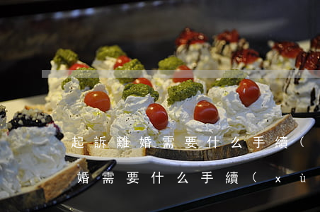 起訴離婚需要什么手續(xù)(自己起訴離婚需要什么手續(xù))