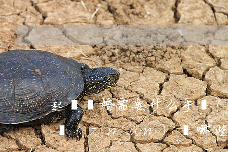 起訴離婚需要什么手續(xù)(起訴離婚要準(zhǔn)備哪些材料)