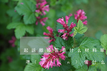 起訴離婚需要什么材料(單方面起訴離婚需要準(zhǔn)備什么材料)