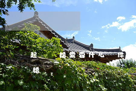 起訴離婚需要什么條件(什么情況可以起訴離婚)