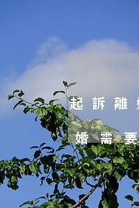 起訴離婚需要什么證件手續(xù)(起訴離婚需要什么證件和材料)