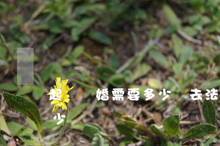 起訴離婚需要多少錢(去法院起訴離婚需要多少錢)