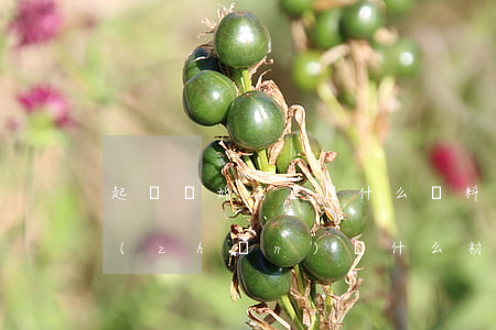 起訴離婚需要帶什么資料(離婚起訴都需要準(zhǔn)備什么材料)