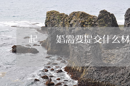 起訴離婚需要提交什么材料