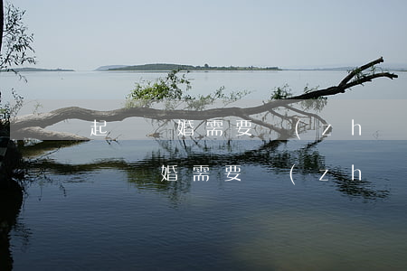 起訴離婚需要準(zhǔn)備什么材料(起訴離婚需要準(zhǔn)備什么材料上交法院)