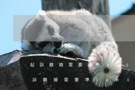 起訴離婚需要準(zhǔn)備什么材料(起訴離婚需要準(zhǔn)備什么材料?怎么寫起訴書?)