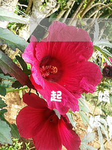 起訴離婚需要準(zhǔn)備什么資料(起訴離婚都需要什么資料)
