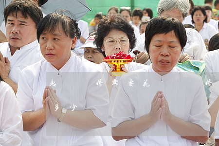 起訴離婚需要花錢嗎(離婚打官司起訴費需要多少錢)