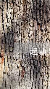 起訴離婚需要錢嗎(離婚起訴費(fèi)用)