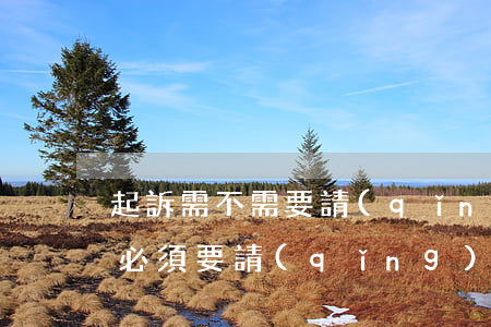 起訴需不需要請(qǐng)律師(提起訴訟必須要請(qǐng)律師嗎)