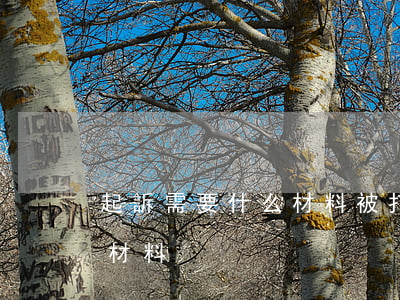 起訴需要什么材料(被打了怎么起訴需要什么材料)