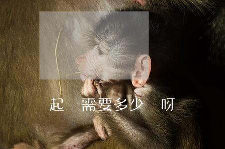 起訴需要多少錢呀