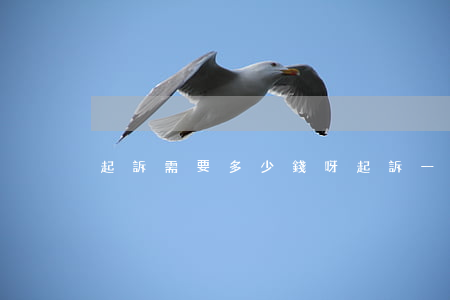 起訴需要多少錢呀(起訴一般要多少錢)
