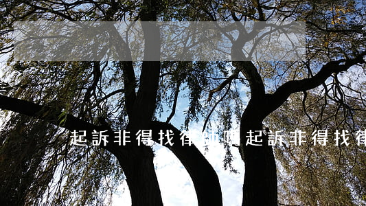 起訴非得找律師嗎(起訴非得找律師嗎)