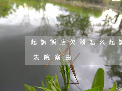 起訴飯店欠錢怎么起訴-欠飯店錢不還起訴法院案由