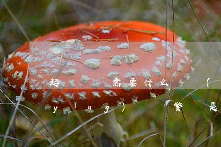 起訴騷擾需要什么證據(jù)(騷擾是應(yīng)該報警還是應(yīng)該起訴)