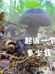 起诉一个人费用多少(起诉一个人请律师要花多少钱)