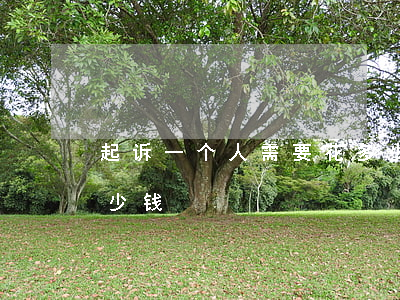 起诉一个人需要花多少钱(起诉别人需要花多少钱)