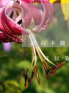 起诉不撤销会带来什么后果(相对不起诉后案件可以撤销吗)