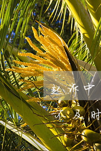 起诉中国银行因扣款时间导致逾期(银行扣款不及时造成逾期)