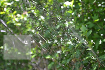 起诉也没钱还怎么办(民事诉讼没钱还怎么办)