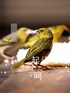 起诉书必须由律师写吗(起诉书必须由律师写吗)