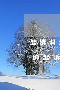 起诉书怎么写欠钱不还模板(怎样写欠钱不还的起诉书)