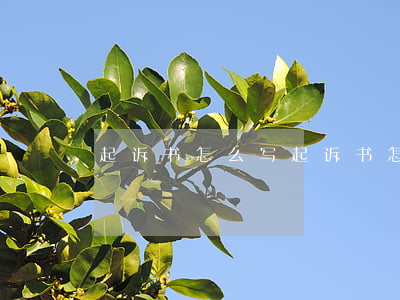 起诉书怎么写(起诉书怎么写 经济纠纷)