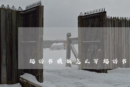 起诉书模板怎么写(起诉书模板怎么写)