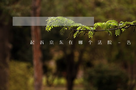起诉京东在哪个法院-告京东去哪个法院