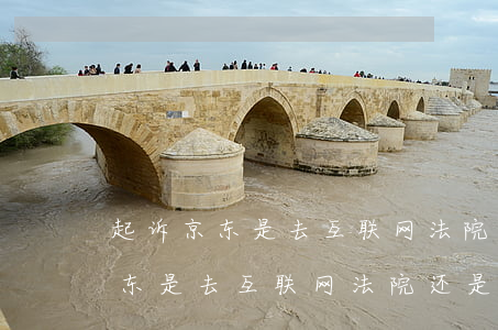 起诉京东是去互联网法院还是本地-起诉京东是去互联网法院还是本地法院