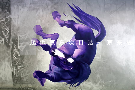起诉京东次日达-京东提起诉讼
