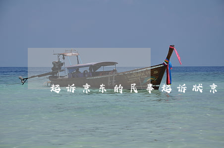 起诉京东的民事起诉状(京东诉讼涵)