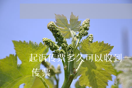 起诉传票多久可以收到(一般起诉几天能收到传票)
