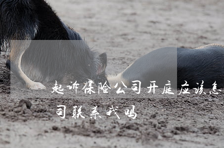起诉保险公司开庭应该怎么说(开庭前保险公司联系我吗)