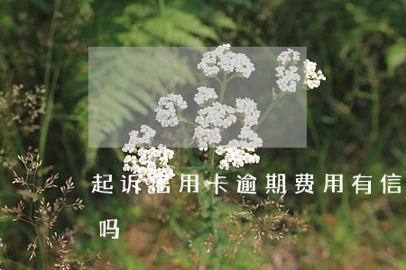 起诉信用卡逾期费用(有信用卡逾期被起诉的吗)