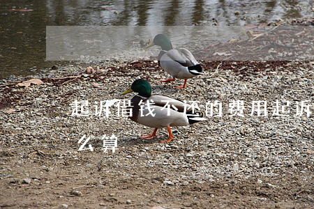 起诉借钱不还的费用(起诉借钱不还的费用怎么算)