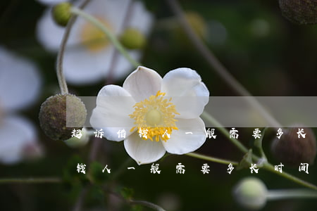 起诉借钱人一般需要多长时间开庭-起诉借钱人一般需要多长时间开庭审理