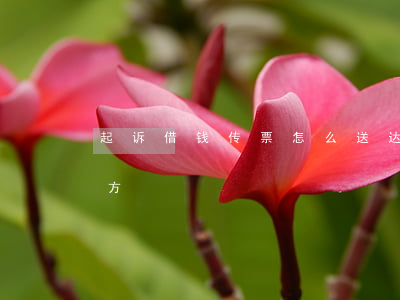 起诉借钱传票怎么送达(起诉后传票怎么给对方)