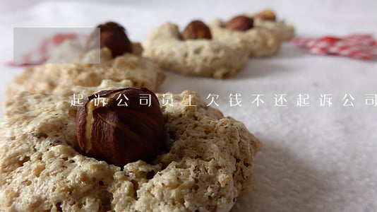 起诉公司员工欠钱不还(起诉公司欠工资流程)