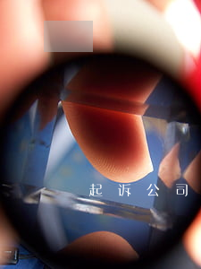 起诉公司需要多少钱(起诉大概要花多少钱)