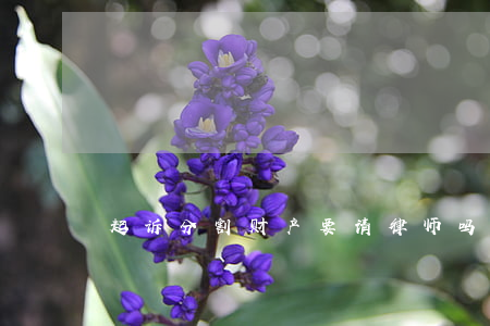 起诉分割财产要请律师吗(如何起诉分割财产)