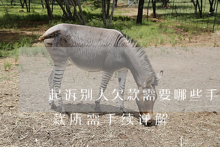 起诉别人欠款,需要哪些手续，如何起诉他人欠款：所需手续详解