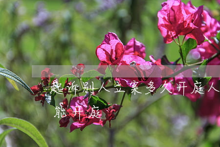 起诉别人立案多久开庭(人民法院立案后多久能开庭)