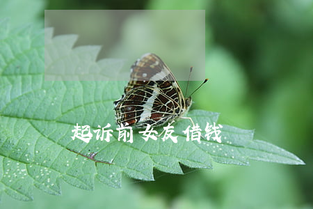 起诉前女友借钱